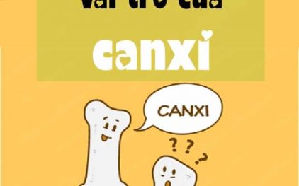 Vai trò của Canxi đối với cơ thể con người – New Zealand Milk