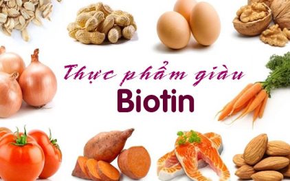 Nhóm thực phẩm chứa Biotin (vitamin B7) được các bác sĩ khuyên dùng nhiều nhất – New Zeaaland Milk